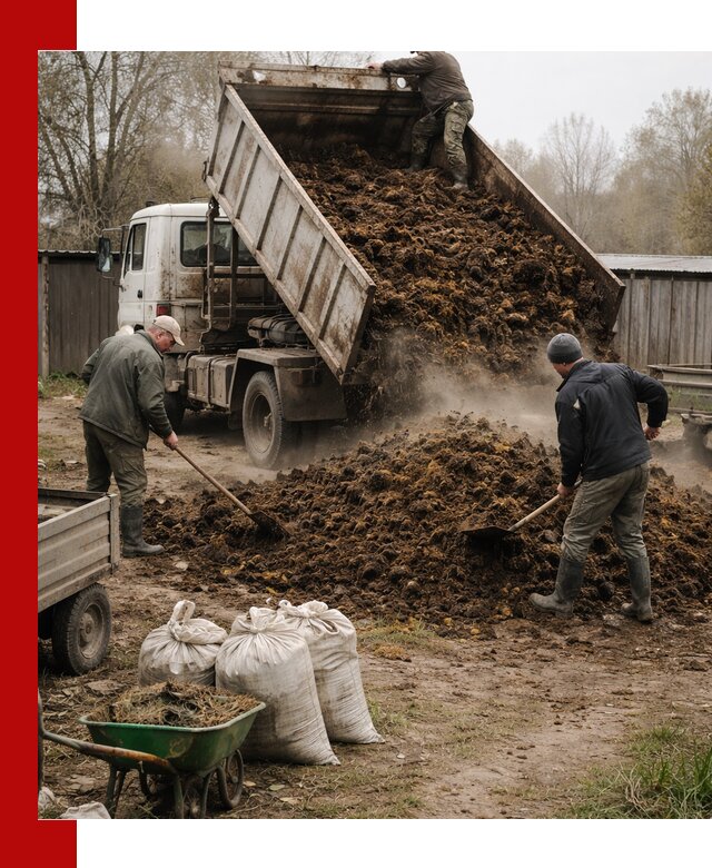 Доставка коровьего навоза самосвалом в Армавире